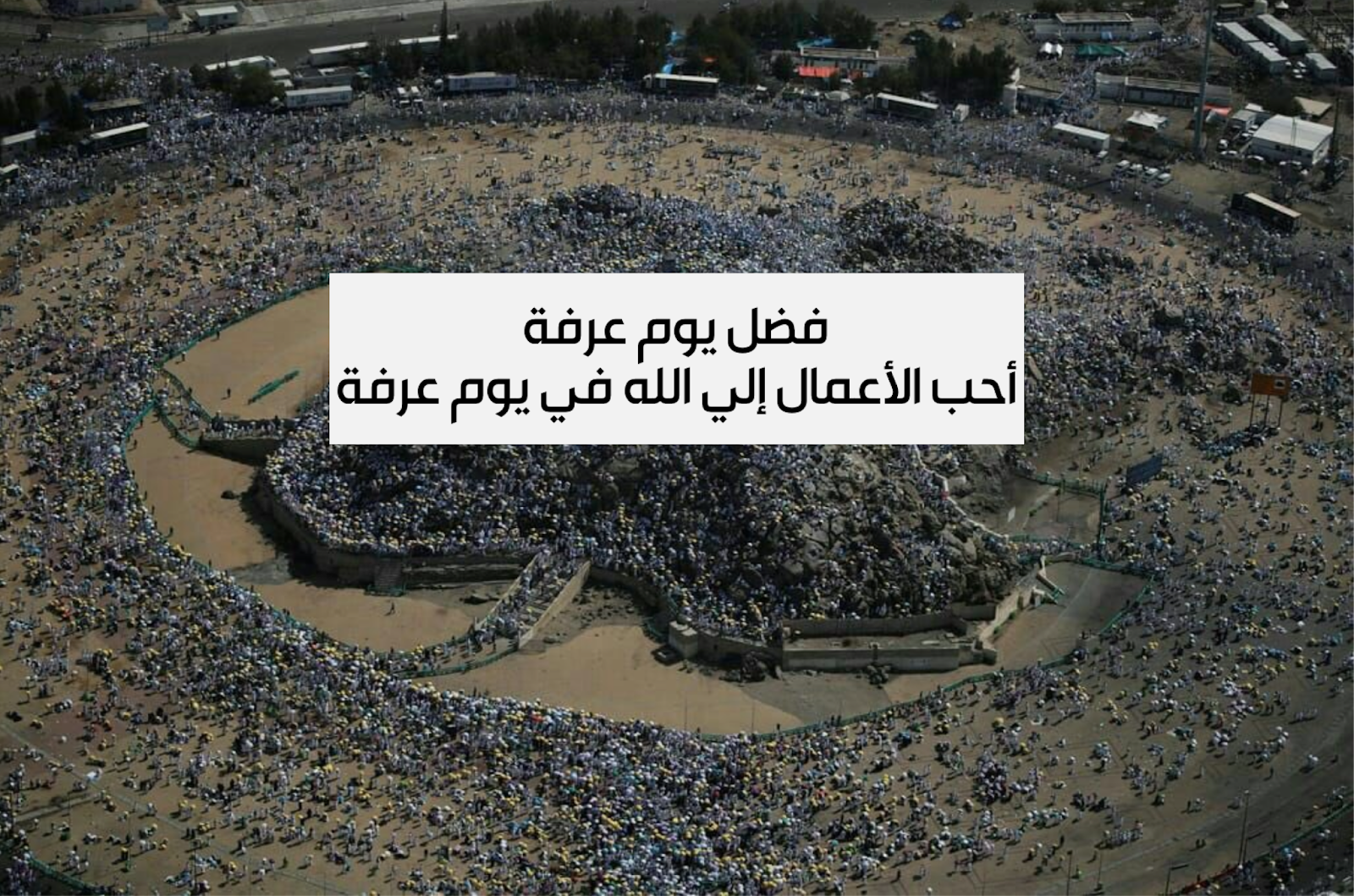 فضل يوم عرفة وأحب الأعمال فيه