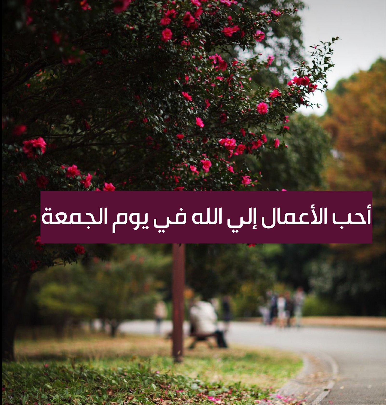 فضل يوم الجمعة وأحب الأعمال فيه