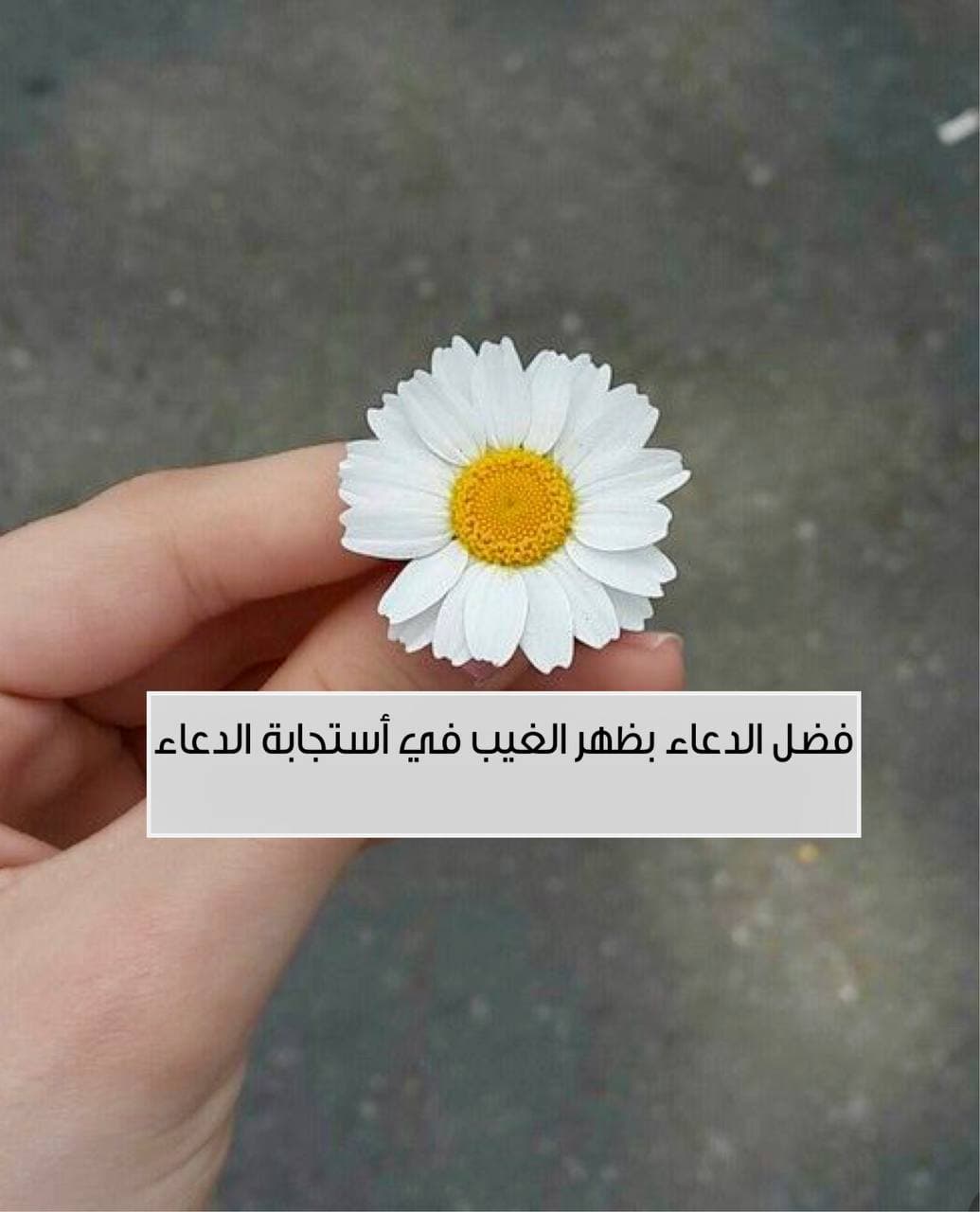 فضل الدعاء بظهر الغيب وآدابه